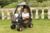 Product image of Little Tikes 5
