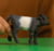 Product image of Schleich 13969 2