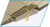 Product image of COBI COBI-5763 8