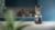 Philips HR3020/20 tootepilt 4