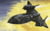 Product image of Italeri 145 1