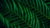 Product image of Philips 24B2G5200/00 3