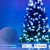 Twinkly TWS600STP-BEU tootepilt 9