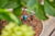 Product image of GARDENA 13304-20 4