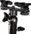Falcon Eyes tootepilt 2