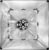 Falcon Eyes tootepilt 4