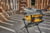 Product image of DeWALT DWE7485-QS 16