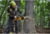 Product image of DeWALT DCMCS575N-XJ 2