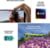Apple MYEC3HX/A tootepilt 10