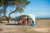 Coleman 2000038757 tootepilt 7