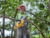 Product image of DeWALT DCMCS575N-XJ 10