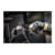 DeWALT DCS356N tootepilt 23