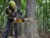 Product image of DeWALT DCMCS575N-XJ 12