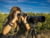 Olympus V501022BU000 tootepilt 5