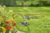 Product image of GARDENA 8270-20 11