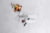 ZWILLING 53102-800-0 tootepilt 11