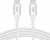 BELKIN CAB015bt2MWH tootepilt 1