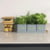 Product image of Brother PTN20QL1 17
