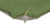 Outwell 400022 tootepilt 2