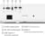 BenQ TK710 tootepilt 9