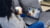Product image of Lenovo 21SQ000AMX 11