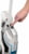 BISSELL 2582Q tootepilt 4