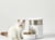 PETKIT P560 3L tootepilt 13