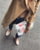 Product image of Canvaslife 6