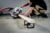 Metabo 613216000 tootepilt 8