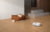 DREAME RLX63CE-2-WH C tootepilt 10