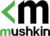 Mushkin MKNSSDVT512GB-D8 tootepilt 1