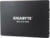 Gigabyte GP-GSTFS31100TNTD tootepilt 1