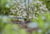 Product image of GARDENA 13307-20 1