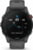 Garmin 010-02641-10 tootepilt 2