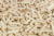 Product image of Maple W600 1