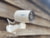Product image of Reolink 90838 2