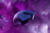 RAZER RZ01-04630100-R3G1 tootepilt 9