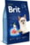 Product image of Brit 1