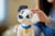 Product image of Lego 43269 8