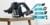 BOSCH BBS611PCK tootepilt 10