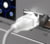 Ubiquiti UACC-Cable-Patch-EL-3M-W tootepilt 6