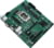 Product image of ASUS 90MB1A30-M0EAYC 6