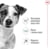 Royal Canin IMPORT-4989 tootepilt 11