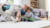 BOSCH BCS1041PET tootepilt 15