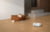 Product image of Xiaomi RLX63CE-2 57