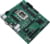 Product image of ASUS 90MB1A30-M0EAYC 5