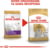 Product image of Roy 8