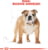 Product image of Royal Canin 6