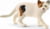 Product image of Schleich 13894 2