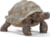 Product image of Schleich 14824 1